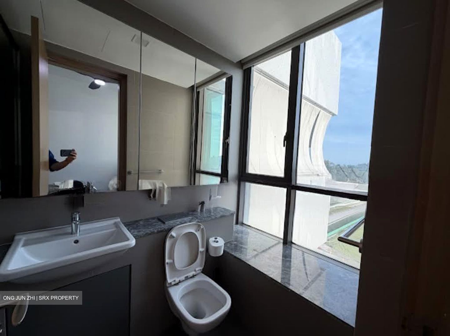 Skyline Residences (D4), Condominium #561798141